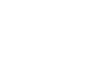 custom-america