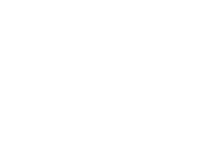 dutchie